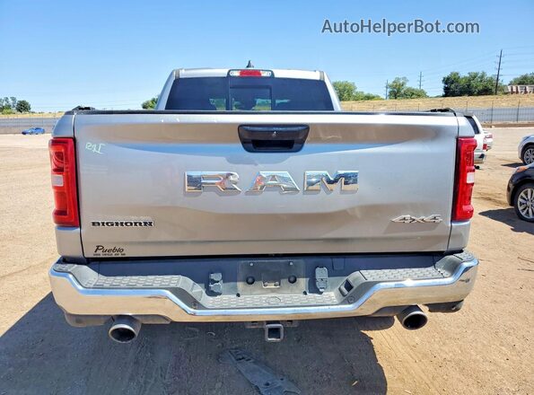 1C6SRFMP4SN565650 2025 RAM 1500 Silver Вид ззаду
