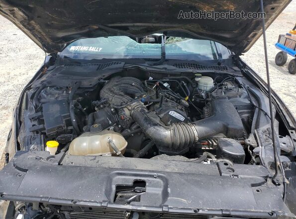 1FA6P8AM0H5270212 2017 FORD MUSTANG Gray Սալոնի հետևի տեսք