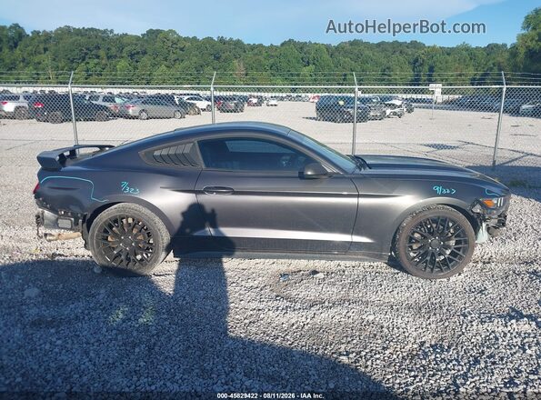 1FA6P8AM1G5333252 2016 FORD MUSTANG Gray Rear interior view