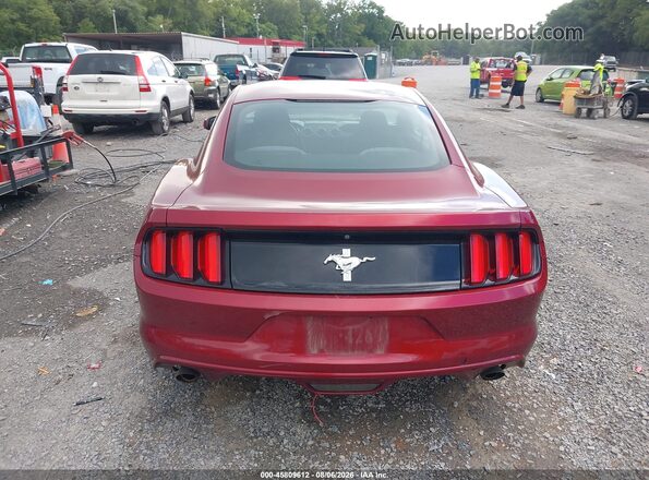 1FA6P8AM2G5201505 2016 FORD MUSTANG Red 