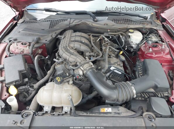 1FA6P8AM2G5201505 2016 FORD MUSTANG Red უკანა ხედი