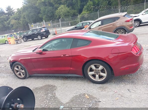 1FA6P8AM2G5201505 2016 FORD MUSTANG Red სალონის 360-გრადუსიანი ხედი
