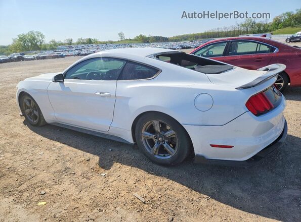 1FA6P8AM3H5209646 2017 FORD MUSTANG White უკანა მარცხენა