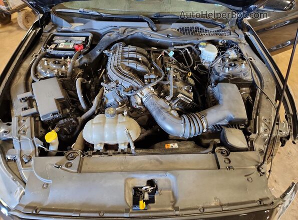 1FA6P8AM3H5333027 2017 FORD MUSTANG Black Vista interior trasera