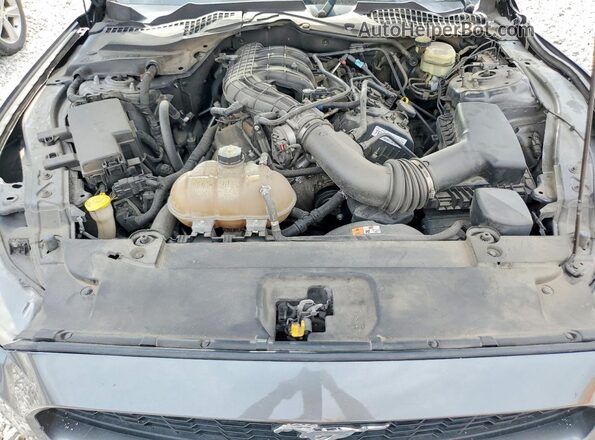 1FA6P8AM4G5202722 2016 FORD MUSTANG Gray Սալոնի հետևի տեսք