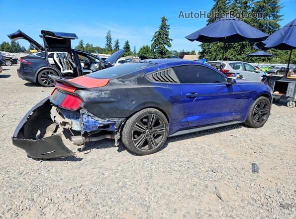 1FA6P8AM6G5220350 2016 FORD MUSTANG Blue Rear right