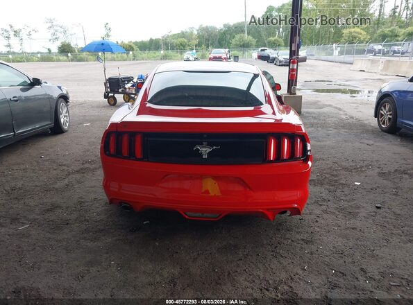 1FA6P8AM7G5280928 2016 FORD MUSTANG Red 