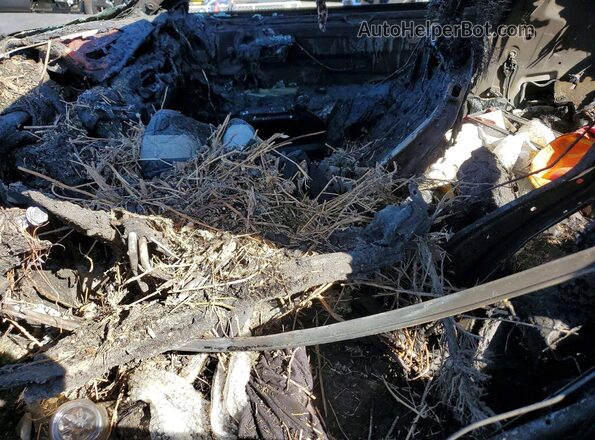 1FA6P8AM7H5357282 2017 FORD MUSTANG Burn Front interior view