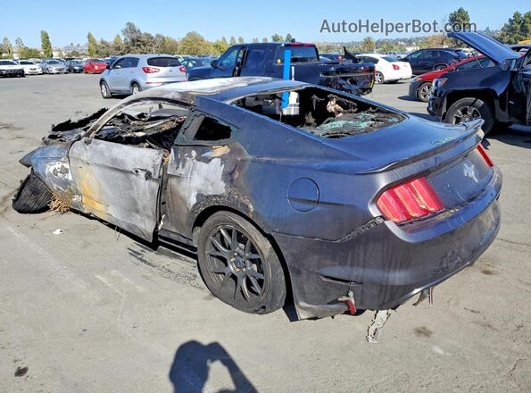 1FA6P8AM7H5357282 2017 FORD MUSTANG Burn Rear left