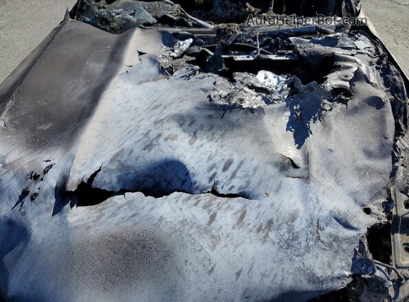 1FA6P8AM7H5357282 2017 FORD MUSTANG Burn Rear interior view