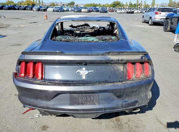 1FA6P8AM7H5357282 2017 FORD MUSTANG Burn Rear view