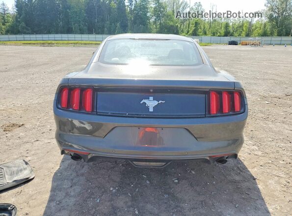1FA6P8AM8H5304705 2017 FORD MUSTANG Gray Rear view