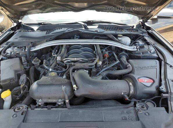 1FA6P8CF0K5174988 2019 FORD 200 Gray Widok wnętrza z tyłu