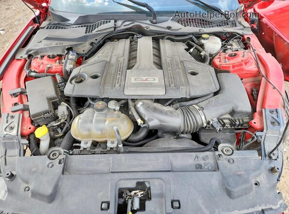 1FA6P8CF0K5187661 2019 FORD MUSTANG Красный Вид задней части салона