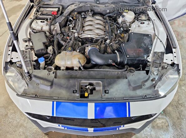 1FA6P8CF1L5153729 2020 FORD MUSTANG Белый Вид задней части салона