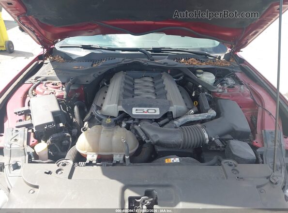 1FA6P8CF2G5236284 2016 FORD MUSTANG Red Widok z tyłu