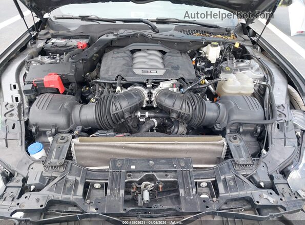 1FA6P8CF2R5421762 2024 FORD MUSTANG Gray Rear view