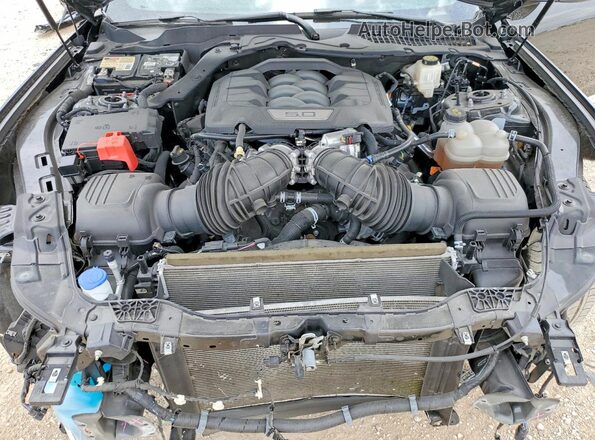 1FA6P8CF3R5426758 2024 FORD GT Black უკანა სალონის ხედი