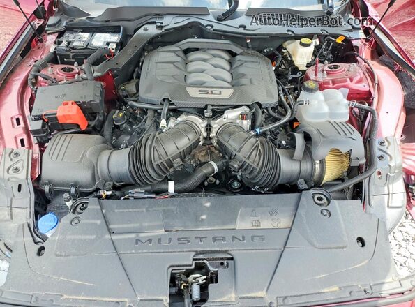 1FA6P8CF3S5414485 2025 FORD MUSTANG Красный Вид задней части салона