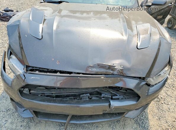 1FA6P8CF4G5278679 2016 FORD MUSTANG Серый Вид задней части салона