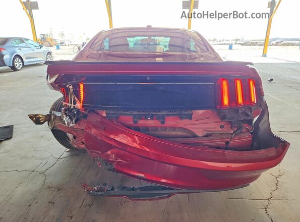 1FA6P8CF4H5249538 2017 FORD MUSTANG Красный Вид сзади