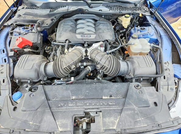 1FA6P8CF4R5409810 2024 FORD MUSTANG Blue Вид задньої частини салону