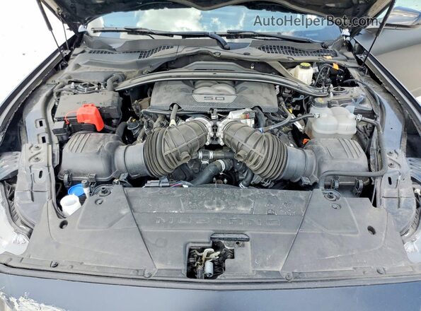 1FA6P8CF4R5427062 2024 FORD MUSTANG Black Սալոնի հետևի տեսք