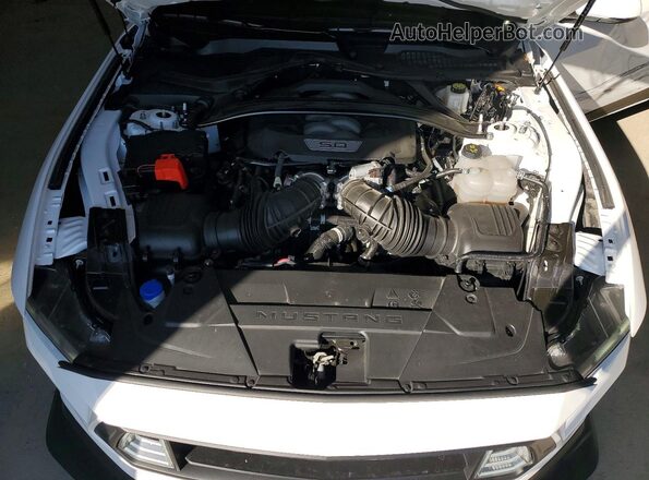 1FA6P8CF4S5400451 2025 FORD MUSTANG Белый Вид задней части салона