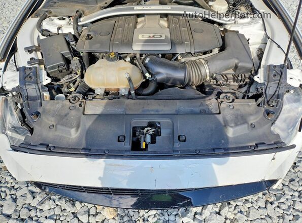 1FA6P8CF5K5191107 2019 FORD MUSTANG White Սալոնի հետևի տեսք