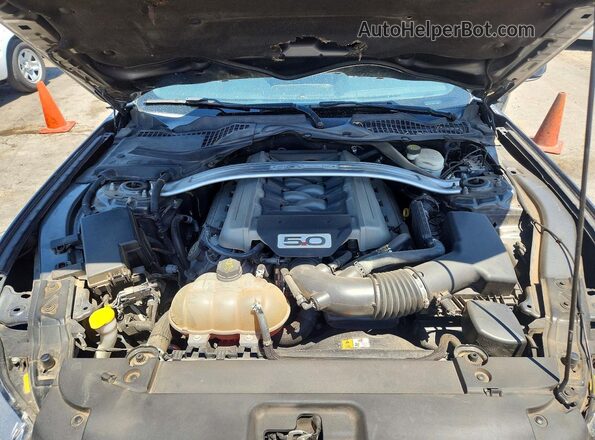 1FA6P8CF6G5303355 2016 FORD MUSTANG Gray Вид задньої частини салону