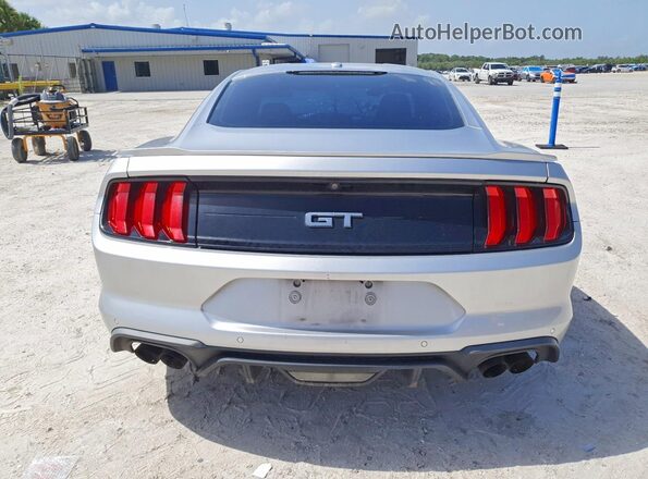 1FA6P8CF6K5161923 2019 FORD MUSTANG Silver უკანა ხედი