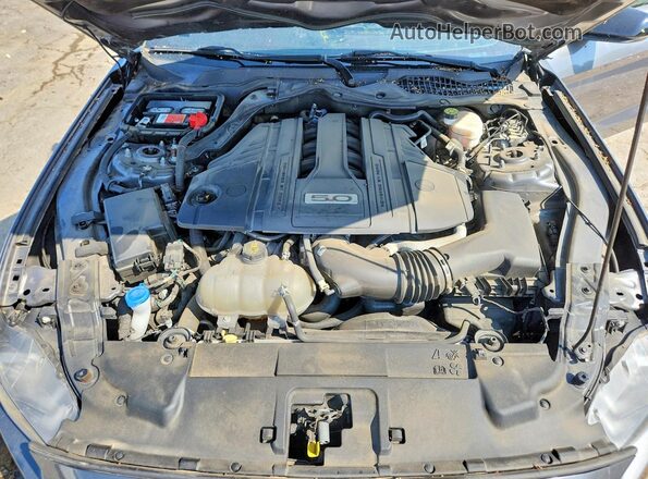 1FA6P8CF6M5107251 2021 FORD MUSTANG Gray Vista interior trasera