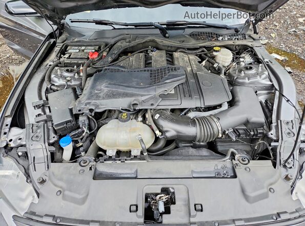 1FA6P8CF7M5116492 2021 FORD MUSTANG Gray Սալոնի հետևի տեսք