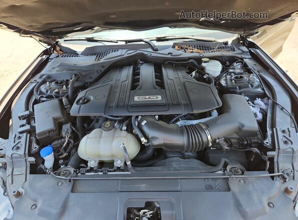 1FA6P8CF7P5300710 2023 FORD MUSTANG Black უკანა სალონის ხედი