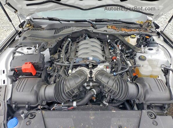 1FA6P8CF7S5409614 2025 FORD MUSTANG Белый Вид задней части салона
