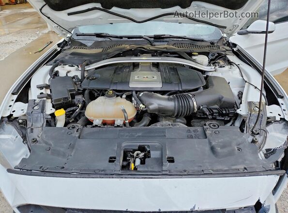 1FA6P8CF8K5122962 2019 FORD MUSTANG White Widok wnętrza z tyłu
