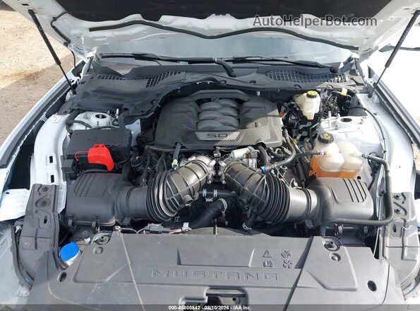 1FA6P8CF8R5428781 2024 FORD MUSTANG White Widok z tyłu