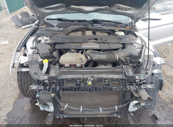 1FA6P8CF9K5150379 2019 FORD MUSTANG Silver Вид ззаду