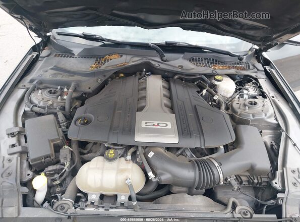 1FA6P8CF9K5198836 2019 FORD MUSTANG Gray უკანა ხედი