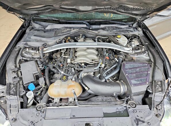 1FA6P8CF9L5103810 2020 FORD MUSTANG Gray Սալոնի հետևի տեսք