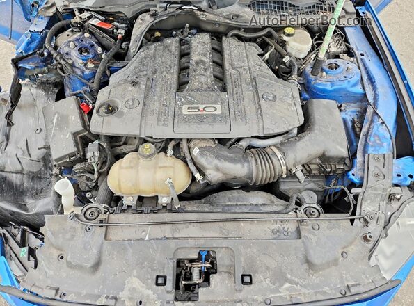 1FA6P8CF9M5135240 2021 FORD MUSTANG Blue Rear interior view