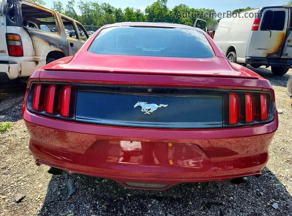 1FA6P8TH0G5326759 2016 FORD MUSTANG Red Հետևի տեսք