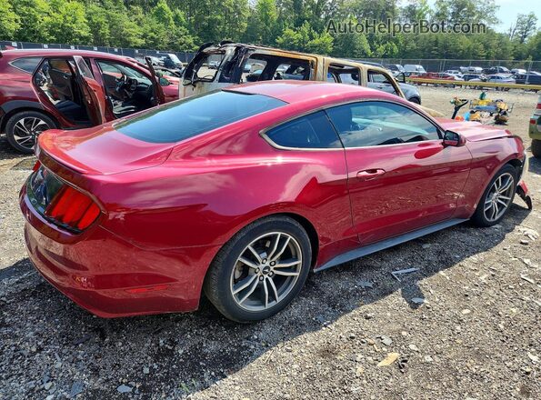 1FA6P8TH0G5326759 2016 FORD MUSTANG Red Հետևի աջ