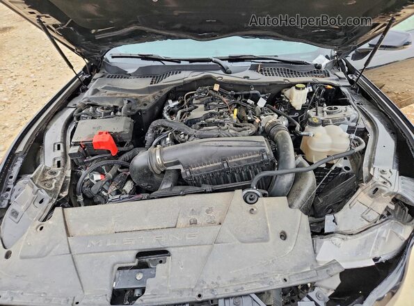 1FA6P8TH0R5114477 2024 FORD MUSTANG Черный Вид задней части салона