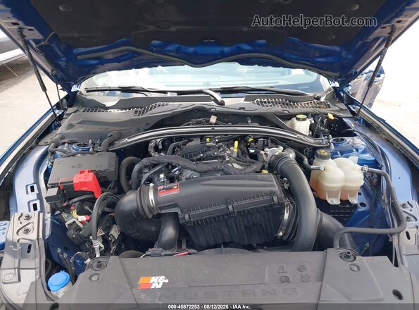 1FA6P8TH1R5110048 2024 FORD MUSTANG Blue Вид ззаду