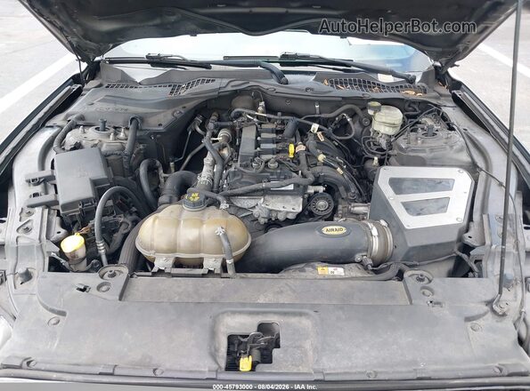 1FA6P8TH2G5271568 2016 FORD MUSTANG Gray Rear view