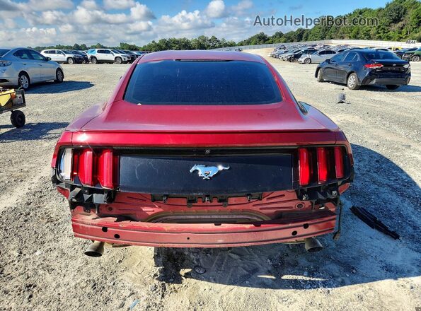 1FA6P8TH2G5321787 2016 FORD MUSTANG Красный Вид сзади