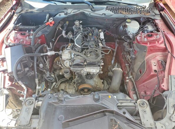 1FA6P8TH2G5321787 2016 FORD MUSTANG Красный Вид задней части салона