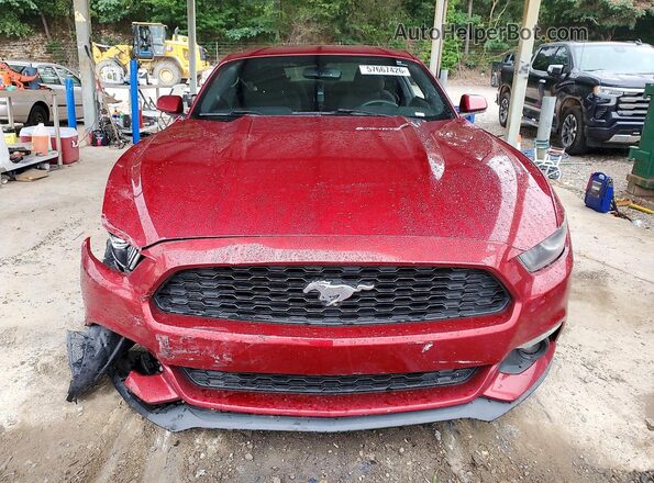 1FA6P8TH2H5332287 2017 FORD MUSTANG Красный Вид спереди