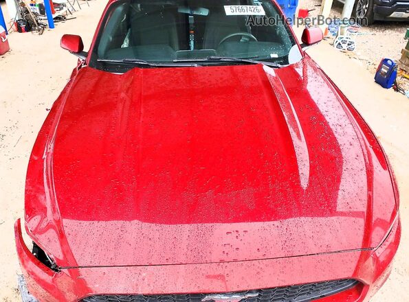 1FA6P8TH2H5332287 2017 FORD MUSTANG Красный Вид задней части салона